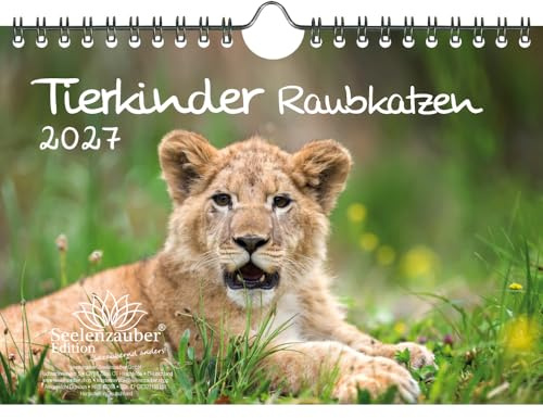 Tierkinder Raubkatzen DIN A5 Kalender für 2027 verschiedene Raubkatzen - Seelenzauber