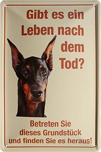 Warnschild Hier wache ich - Dobermann Hund Funny Blechschild 20x30 cm Blech 211