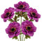 Briful 5er Set Künstliche Anemonen Kunstblumen Wie Echt Kunstzweige Lila Frühlingsblumen, Länge 53 cm, Dekoblumen für Blumengesteck Home Resto Büro Dekoration