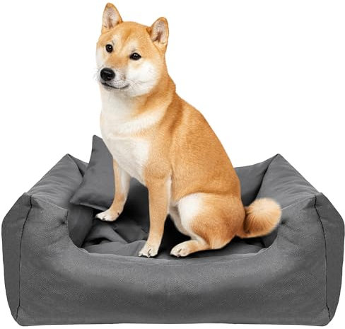 Creative Pets Hundebett 65x55x19 cm | grau | Hundekorb Katzenbett | Bett mit Kissen | Hundesofa | weich bequem | Schlafplätze Möbel für kleine und mittelgroße Hunde