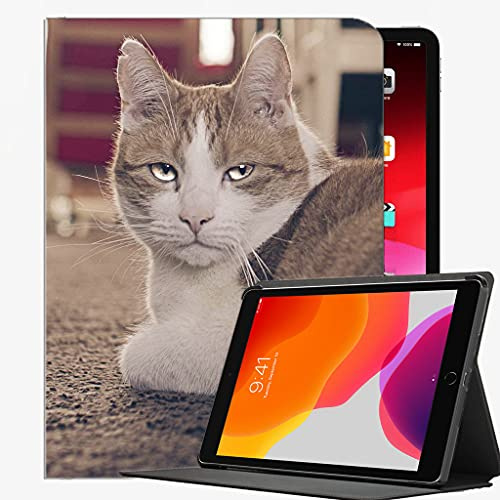 Coque pour iPad Air 2 9,7 - Motif yeux de chat fatigué - Coque fine pour iPad Air 2 9,7