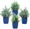 summer flower Set of 4 Fake Plants in Pot Small Artificial Eucalyptus Potted Plant Mini Wheat Grass Ferns Faux Greenery for Home Indoor Office Table Bathroom Farmhouse Decorations Blue