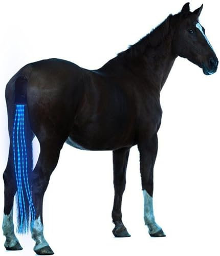 SSZYace Horse Equipment Reiten Schwanz Trappings Equestrian LED Flashing Light Bar Harness Outdoor Sports USB Charge Reiten Dekorationen (blau)