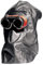 RIMAG 68409