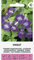 Zalia stotele | SNAPDRAGON VIOLET - VIOLET des Graines | Graines de Fleurs | Graines de Plantes | Graines de Jardin | 1 Paquet