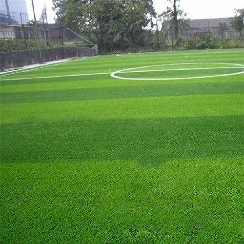 10000 Stück Festuca Arundinacea Samen Fußballplatz Golfplatz Rasen Gras Dekor Samen für Gartenbepflanzung Festuca Arundinacea-Samen