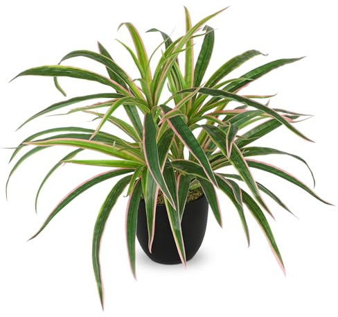 GnFlus Fake Hanging Plant, Faux Spider Plant in Black Pot Artificial Grass Plants 13 Inch Faux Potted Plants for Home Office Table Shelf Indoor Outdoor Pink and Green