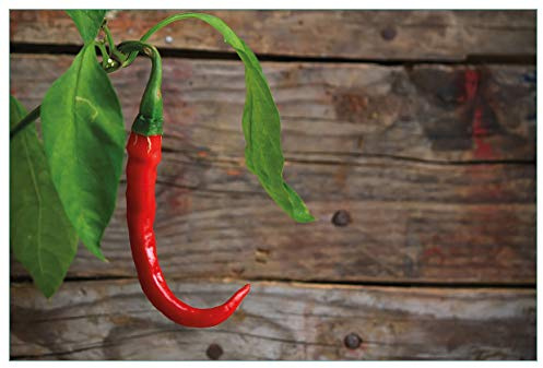 Wallario Küchenrückwand selbstklebend 90 x 60 cm, Motiv: Hängende Chili-Schote | Spritzschutz abwischbar & pflegeleicht