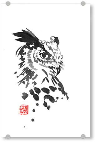 artboxONE Acrylglasbild 30x20 cm Tiere Owl face Bild hinter Acrylglas - Bild owl Japan owl