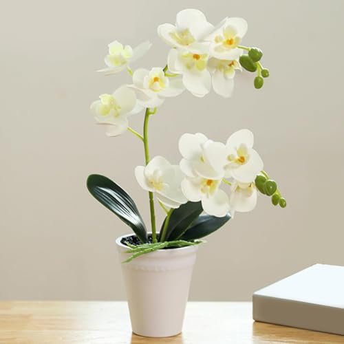 AQCQDQ 15,7 -Zoll realistische falsche Orchideenblume im Topf, Kunstblumen wie echt Lebendige falsche Orchideenpflanze für Hochzeit für Heimbüro (weiß,1)