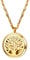 PROSTEEL 18k vergoldet personalisiert Halskette für Männer Frauen Anhänger mit Kette Hohl Baum des Lebens Medaillon Ätherische Öle Diffusor Floating Locket Aromatherapie Zubehör 8 Pads verfügbar(gold)