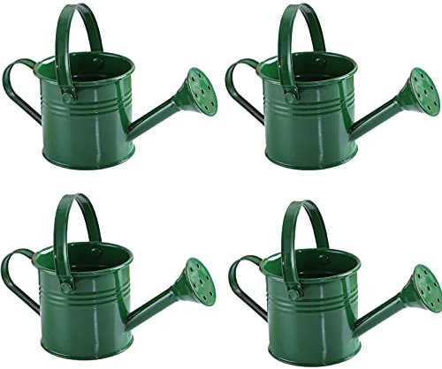 RTWAY Lot de 4 mini arrosoirs en fer pour enfants avec poignée pour jardin intérieur ou extérieur