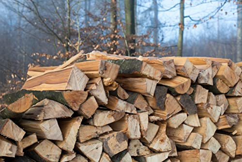 Asstona Brennholz in 33cm - Kaminholz - Reine Buche - 15 Kg ofenfertig gespalten kammergetrocknet