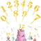 10 Stück Cake Topper 0-9 Geburtstag Tortendeko, Happy Birthday Tortendeko Geburtstag, 0 1 2 3 4 0 6 7 8 9 0 Kuchen Topper Dekoration, für Geburtstagsfeiern Jeden Alters Hochzeitsparty