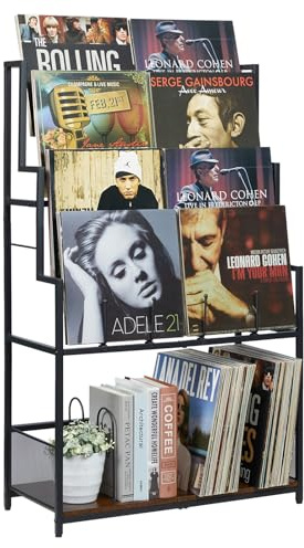 5-stöckiger Vinyl-Schallplattenständer mit Schallplatten-Ausstellungsregal, große Kapazität, Vinyl-Organizer, 250–320 Alben, Aufbewahrung, Metall-Schallplattenregal für LP, CD, DVD, Zeitschriften