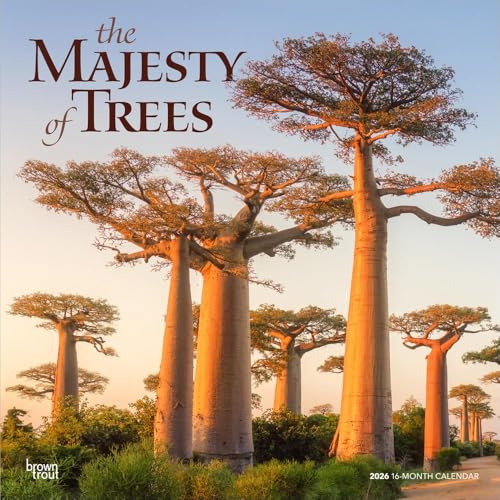 The Majesty of Trees – Die Erhabenheit der Bäume 2026 – 16-Monatskalender: Original BrownTrout-Kalender [Mehrsprachig] [Kalender] (Wall-Kalender)