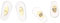 HiCycle2 nasenpads brille Ersatz Nasenpads für ray ban RB6335 Sonnenbrillen Reparatur Kits brille nasenpads silikon nasenpads brille zum stecken 16mm (gold)