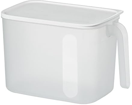 Conteneur de glace transparent pour congélateur avec couvercle et poignée | Récipient de rangement transparent pour réfrigérateur | Boîte de rangement givrée pour réfrigérateur
