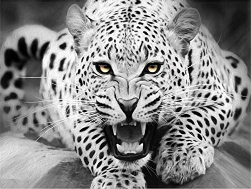ABEUTY Malen nach Zahlen Leopard Schwarz & Weiß fechtig, DIY Ölgemälde auf Leinwand Gemälde 40x50cm Wandkunst (Leopard, Mit Rahmen)