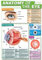 GCSE Science Anatomy of the Eye Poster A2, 42 x 59,4 cm