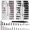 Fizdoqg 1000 Stück Kleine Schrauben Set Mini Schrauben Sortiment Kit Winzige Mikroschrauben Brillenschrauben Reparaturschrauben Set für Uhrenbrille Computer Ersatzschrauben, M1.2 M1.4 M2