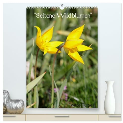 Seltene Wildblumen (hochwertiger Premium Wandkalender 2026 DIN A2 hoch), Kunstdruck in Hochglanz: Wildwachsende Schönheiten (CALVENDO Natur)