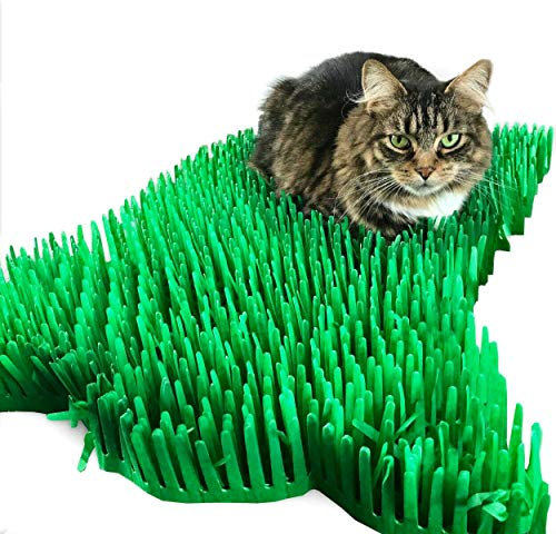 CATMAT. Katzenmatte aus Seidenpapier, Grünes Papier, Grasimitat, Spielmatte - Spaß für Indoor-Katzen und Kätzchen (2er-Pack)