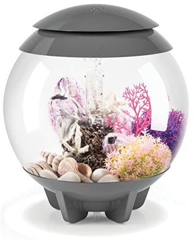 biOrb Halo 15 MCR grau - Tabletop Aquarium, für unzählge Designmöglichkeiten, Komplettset mit Acrylbecken
