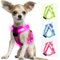 PZRLit Hundegeschirr Leuchtend Aufladbar für kleine Hunde, Leuchtgeschirr für XS Hunde, Reflektierend LED Geschirr für Welpen für sicheres Gehen in der Nacht-Rosa
