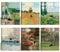 KAIRNE 6er Set Schwarze Katze Poster,Van Gogh Poster für Wohnzimmer,Katze Kunstdruck Landschaft Poster,Lustige Katze Wandbilder Leinwand,Van Gogh Bild mit Rahmen für Schlafzimmer Deko (20 * 25CM)