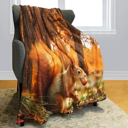 Violetpos Dick Decke Weich Wärme Gemütlich Fleece Sofadecke Nettes Eichhörnchen Das Nüsse Wald Isst 150 x 200 cm