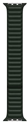 Apple Watch Cinturino a maglie in pelle Verde sequoia (41 mm) - S/M