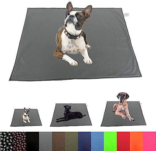 elropet Hundedecke Softshell kleine Hunde/Hundedecke Softshell große Hunde/Hundedecke unterwegs & daheim/Hundedecke wasserabweisend (Grau, M 95cm X 70cm)