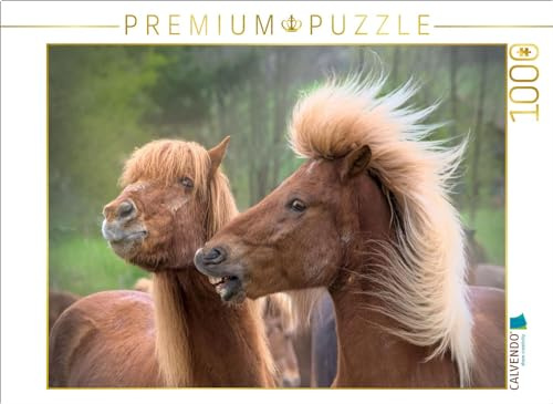 CALVENDO Puzzle Energie | 1000 Teile Lege-Größe 64 x 48 cm Foto-Puzzle für glückliche Stunden