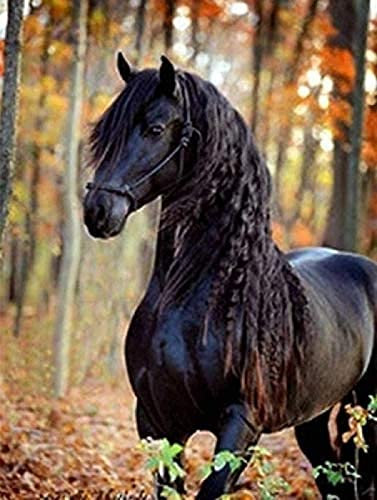 Puzzle 2000 Teile Erwachsene Schwarzes Pferd Papierartige Puzzleteile, Familienpuzzlespiel und Geschenke 70x100CM