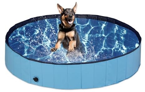 Relaxdays Piscina para Perros y Niños, Plegable, Válvula Desagüe, Jardín, Balcón, PVC y MDF, 160x30 cm, Azul, 30 x 160 x 160 cm