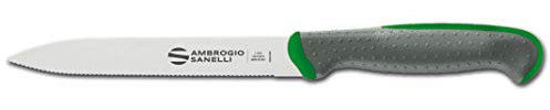 Sanelli Ambrogio Linea TECNA Colore Multiuso, Coltello Professionale dai Molteplici Usi. Manico Igienico ed Antiscivolo, Acciaio Inossidabile, Verde