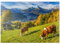 MyPuzzle Blick vom Metzenleitenweg über Berchtesgaden zum Watzmann (2713m) - Premium 1000 Teile Puzzle - MyPuzzle Sonderkollektion von Puzzle Galaxy
