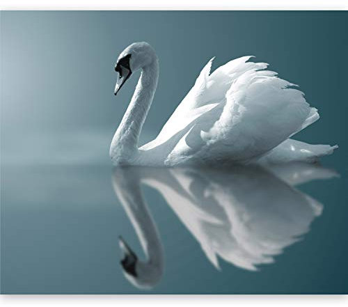 murando Fototapete selbstklebend Vogel 245x193 cm Tapete Wandtapete Klebefolie Dekorfolie Tapetenfolie Wand Dekoration Wandaufkleber Wohnzimmer Wasser Natur Tiere Schwan 100403-252