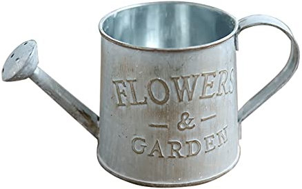 NGCG Maceta de metal para flores, cesta vintage de hierro, pequeña, plateada, interior/exterior, balcón, terraza, patio, porche delantero
