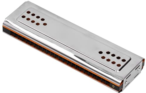 Generic 24-Loch-Mundharmonika, Doppelseitige C-G-Taste mit Gongs aus Phosphorbronze, Musikinstrument mit Melodischem Klang, Silber für Professionelle Spieler