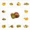 500 pcs kiwibeeren pflanze winterhart samen, obstbäume kaufen kiwi pflanze Actinidia chinensis,kiwibeere obstbaum garten baumsamen bohnenkraut samen balkonpflanzen winterhart bäume
