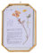 NCYP Hängender Achteckiger Messingglasrahmen für gepresste getrocknete Blumen, 12,7 x 17,8 cm, Pflanzenexemplare Herbarium, Vintage Dekoration, Schwebender Rahmen (nur Glasrahmen)