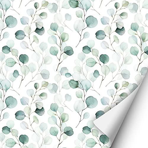 2 x 0,9 m selbstklebende Folie - Floral (16,66 €/qm) Klebefolie Dekorfolie Möbelfolie Mädchen Junge und Erwachsene grün Eukalyptus Blätter Äste Dekoaufkleber für glatte Oberflächen