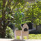 Fitcho Mops-Geschenke für Mops-Liebhaber, Mops-Hund-Pflanzgefäß, niedlicher Hunde-Blumentopf für Gartendekoration, Mops-Form, Geschenk, kleiner Mops
