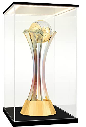 Huijintao Vitrine pour Collection, Boite Acrylique Transparent, Vitrine Voiture Miniature, Vitrine Exposition Vitrine Acrylique pour Figurine, Miniature, avec éclairage LED (15x15x25 cm)