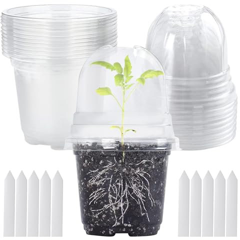 Pizsieat 10 Pieza Vaso Trasparente per Orchidee,Vaso Orchidea Trasparente Ø 9cm Vasi per Orchidee Trasparenti con Fori Drenaggio e 10 Piante Etichette per La Semi Semina Vivai Semenzale