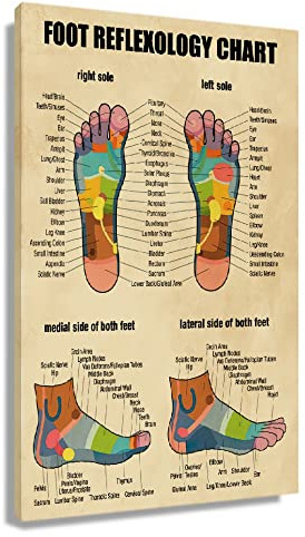Fußreflexzonen-Diagramm Poster Retro Wandkunst Therapie Poster gerahmte Leinwanddrucke Gesundheit Wissen Diagramm Poster für Raumdekoration gerahmt (30,5 x 45,7 cm)