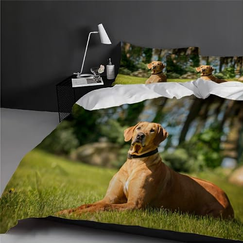 LOLEIA Bettwäsche Einzelbett 135x200 Rhodesian Ridgeback Bettwäsche Set 3 Teilig 100% Mikrofaser Weich Garten 3D Druck Bettbezüge Kinder mit Reißverschluss mit 2 Kissenbezüge 80x80
