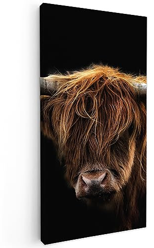 MuchoWow Leinwand Bilder, Einzigartige Wanddeko mit Rahmen, Schottischer Highlander - Hörner - Schwarz - Tiere - Natur - Wild - Kuh, Wandbilder Wohnzimmer, Deko Schlafzimmer 40x80 cm